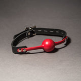 Red Silicone Gag from SM Domain.