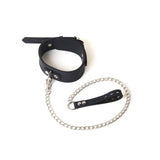 Silicone Collar and Leash from SM Domain.