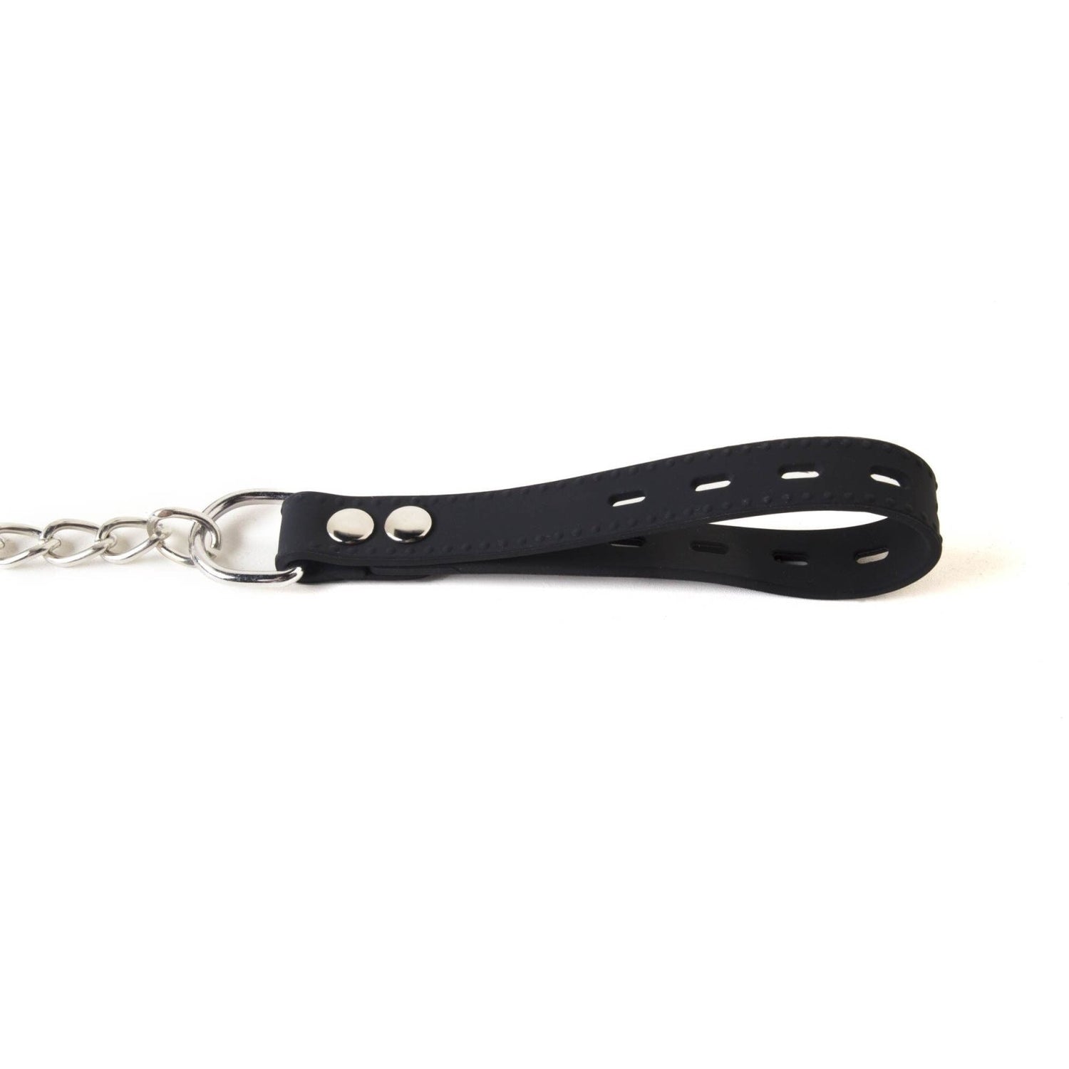 Silicone Collar and Leash from SM Domain.
