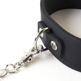 Silicone Collar and Leash from SM Domain.