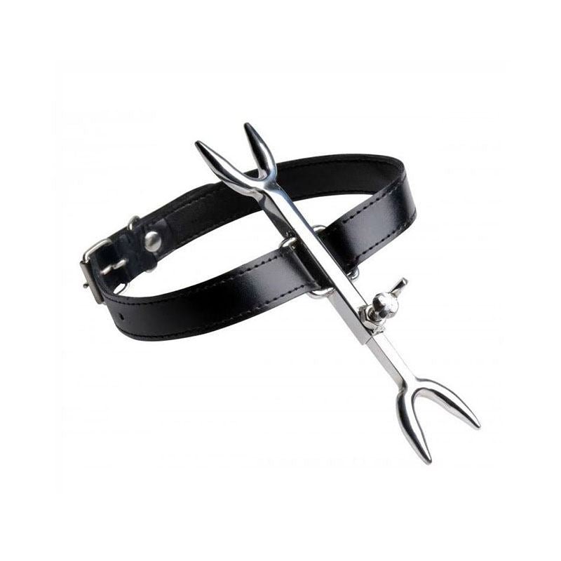 The Heretic's Fork from SM Domain.